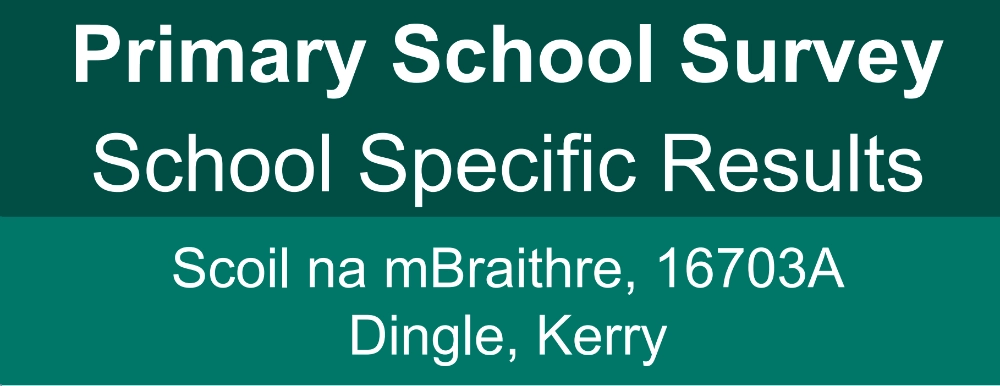 Primary School Survey / Suirbhé Bunscoile